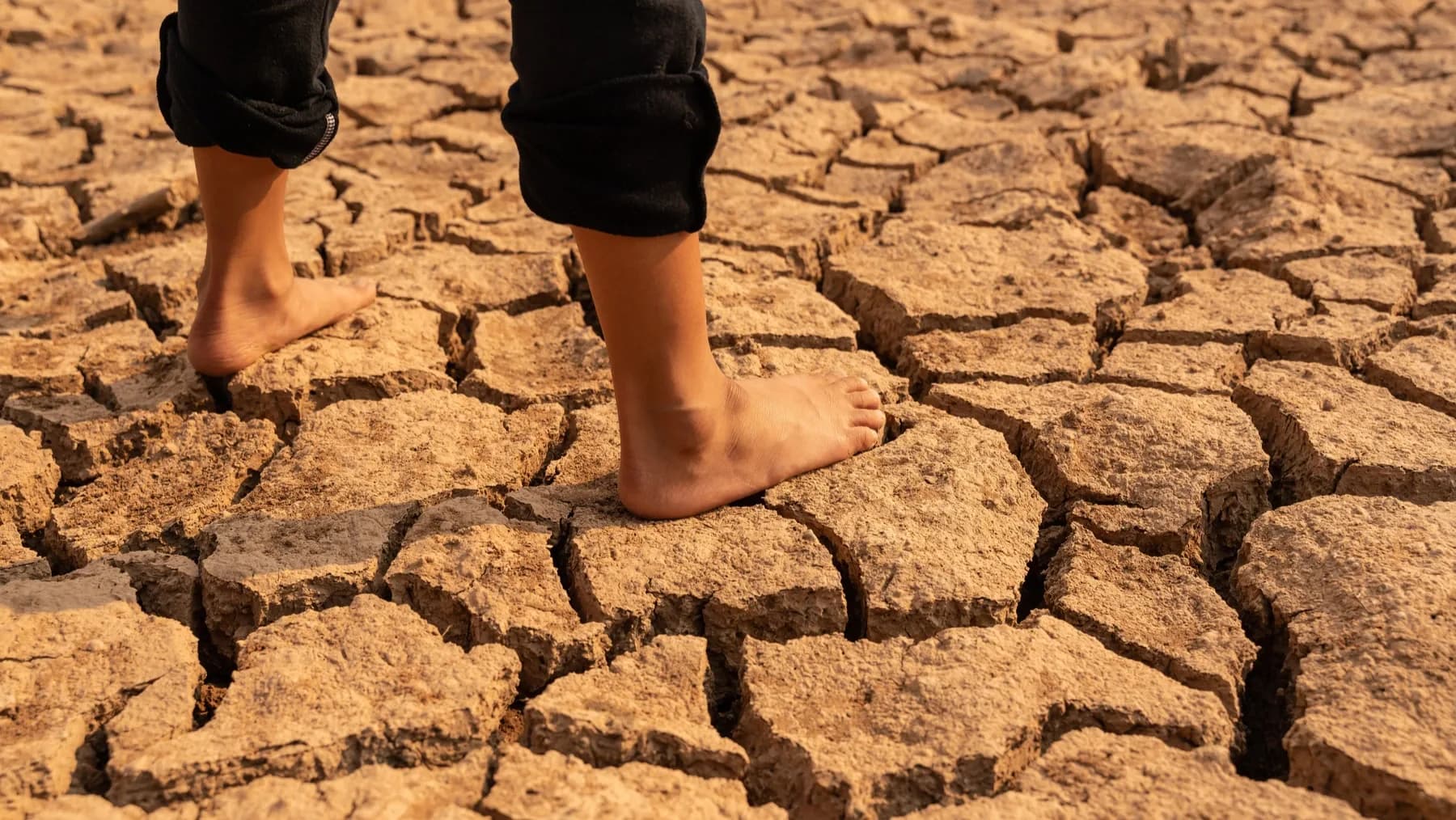 El Niño 